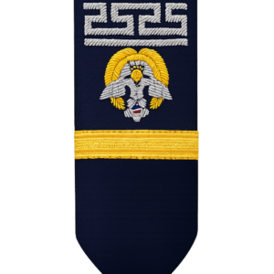 custom bullion hand embroidery